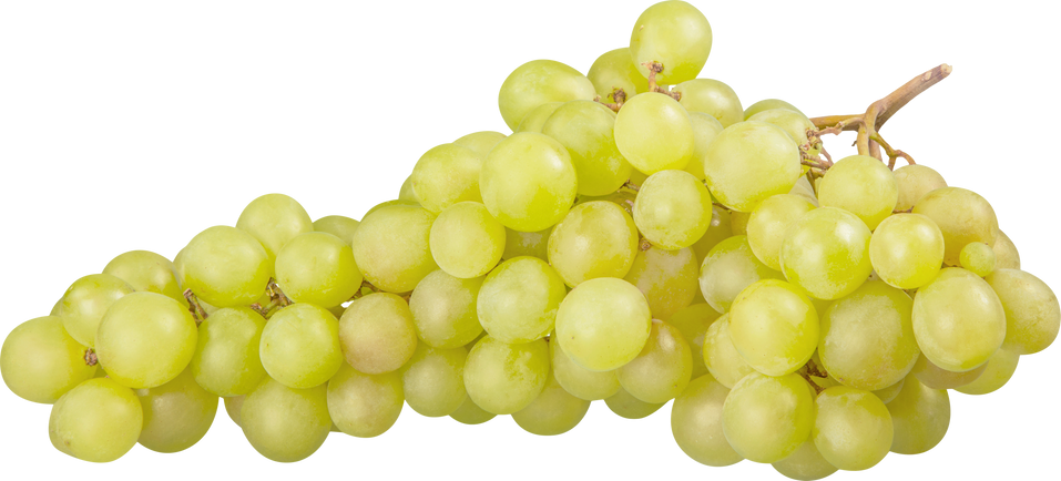 White Grape Cluster Isolated