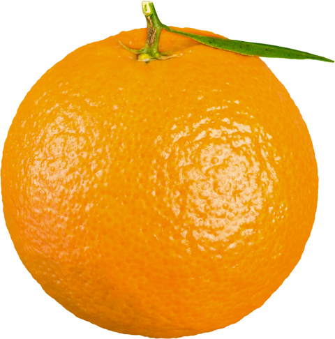 Ripe Orange